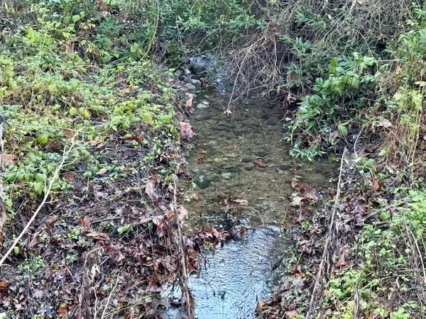 $697,000 | 0 Almaden, San Jose, CA 95120