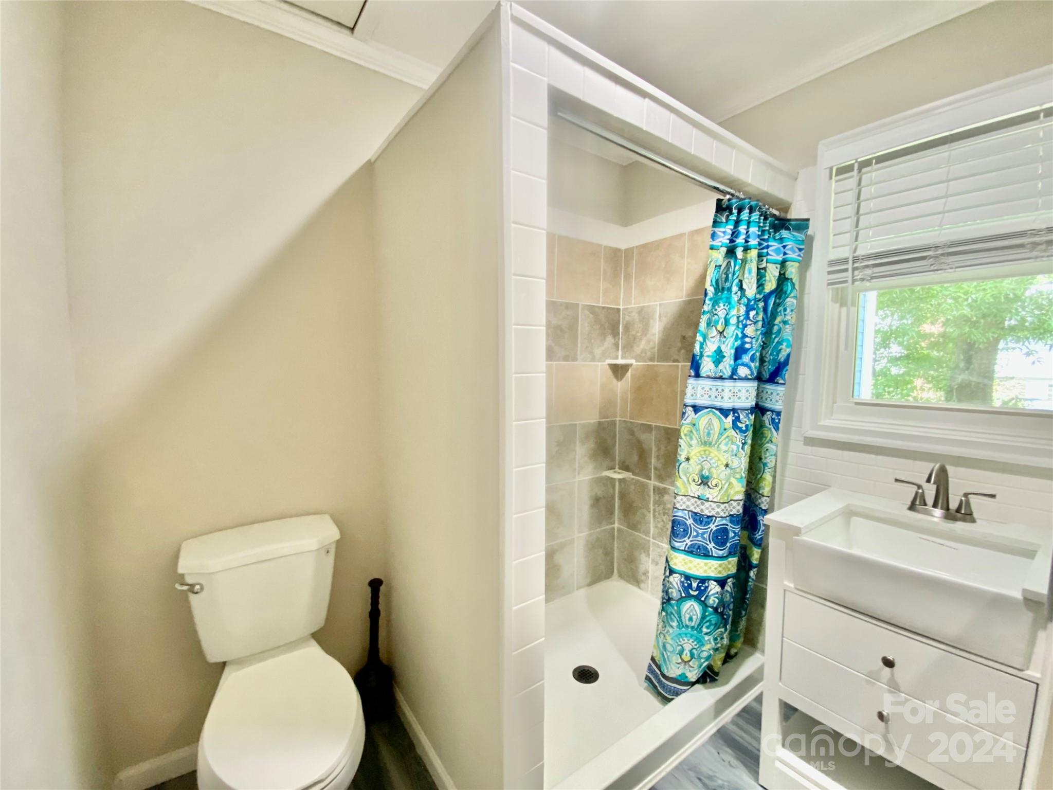 4250 Potneck Road Woodleaf, NC 27054 - Photo 33 of 36 a bathroom with a sink toilet and shower