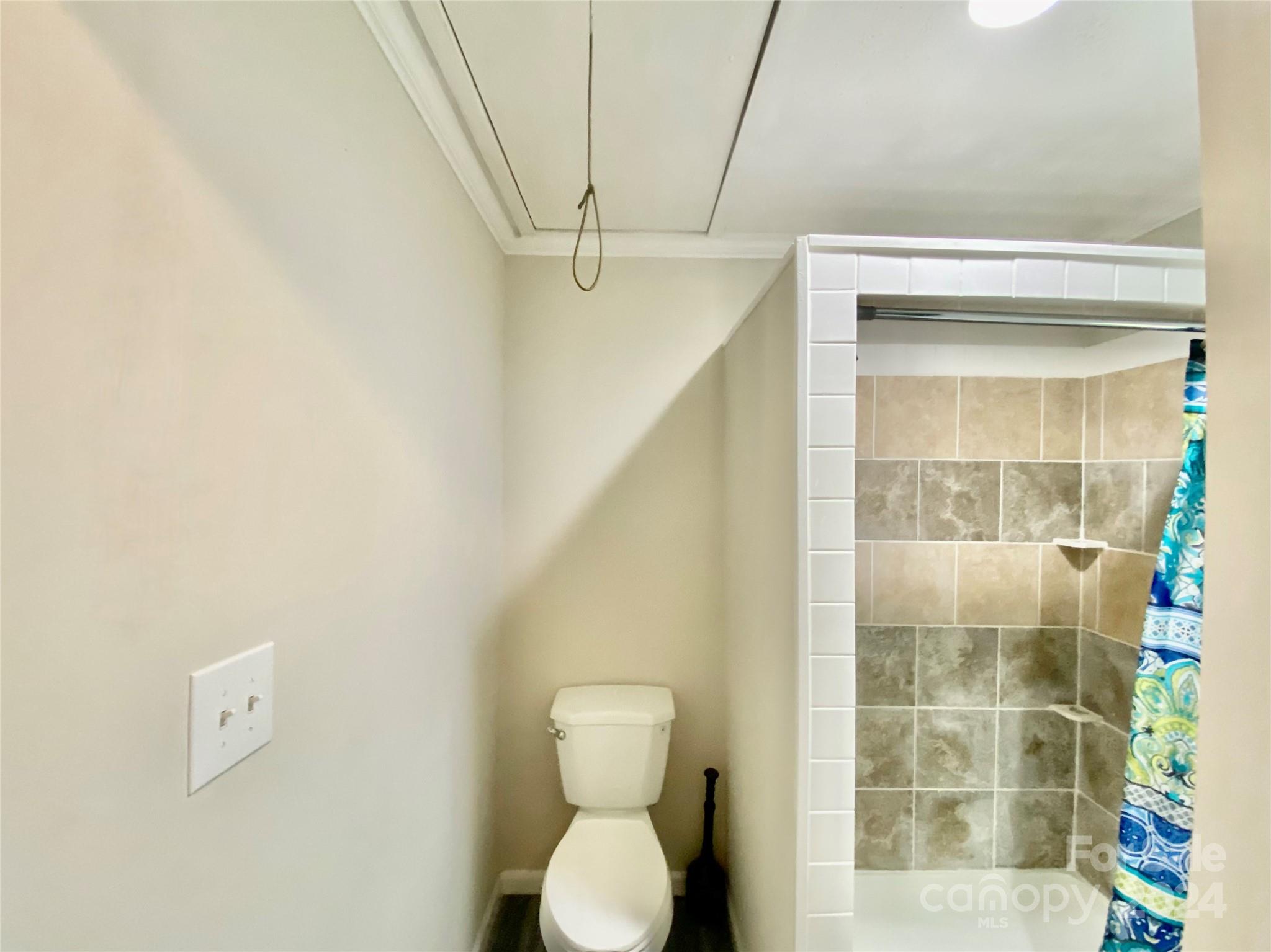 4250 Potneck Road Woodleaf, NC 27054 - Photo 34 of 36 a bathroom with a toilet and a shower