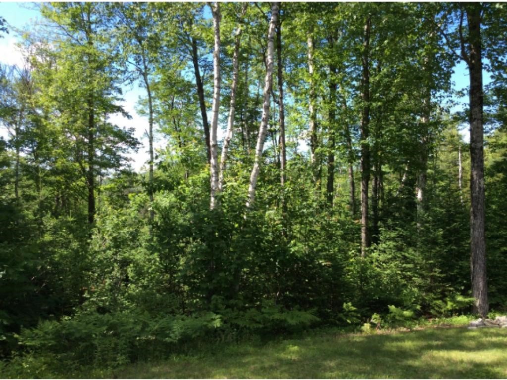549 West Side Road Bethlehem, NH 03574 - Photo 5 of 25