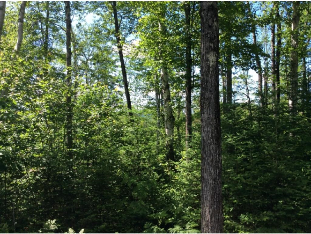549 West Side Road Bethlehem, NH 03574 - Photo 6 of 25