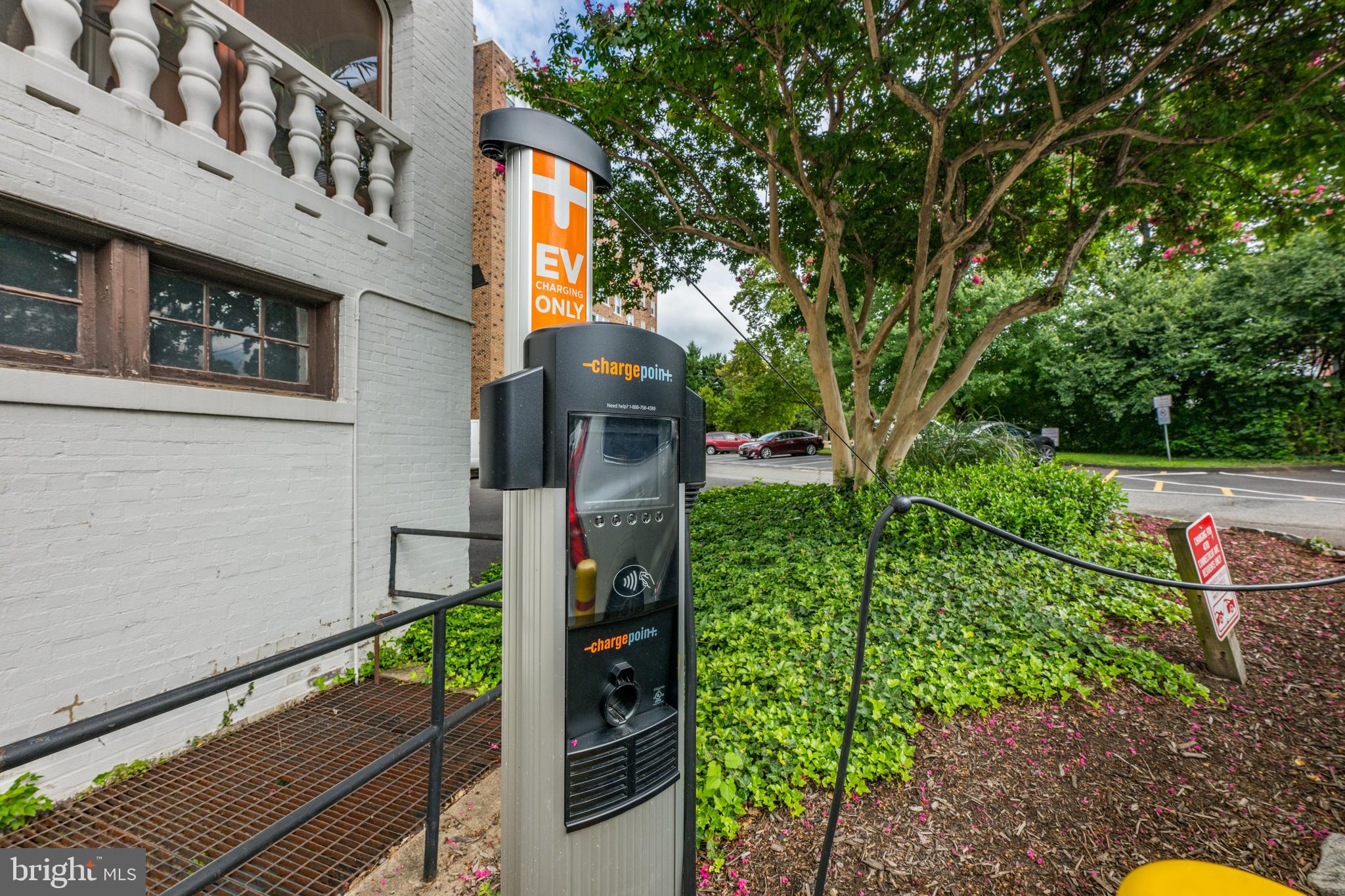 4701 Connecticut Avenue Northwest, Unit 501 Washington, DC 20008 - Photo 24 of 28 a view of a street with potted plants and large tree