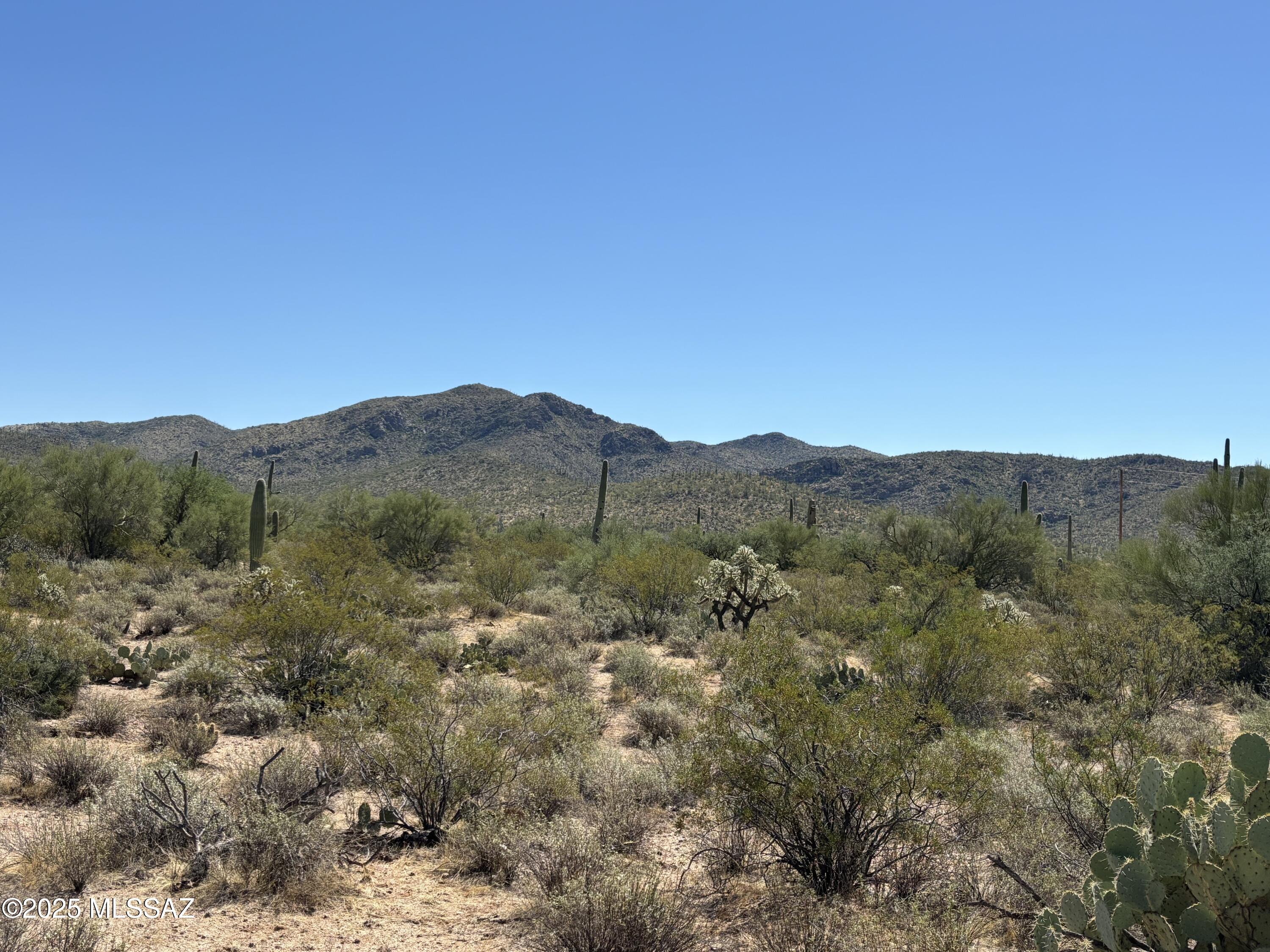 20-acres 20-acres Undetermined Road Payson, AZ 85541 - Photo 3 of 5 Lucius vegetation