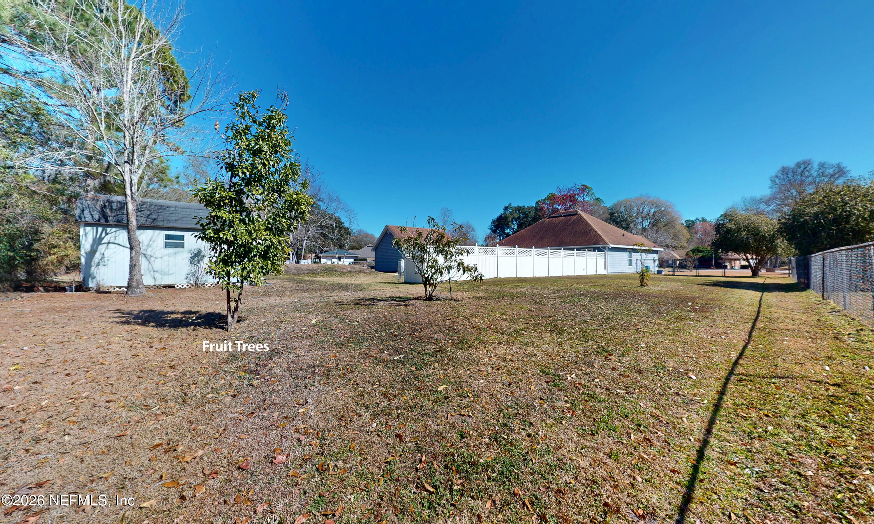 55592 Deer Run Road Callahan, FL 32011 - Photo 27 of 37 Ext Backyard Fruit Tree