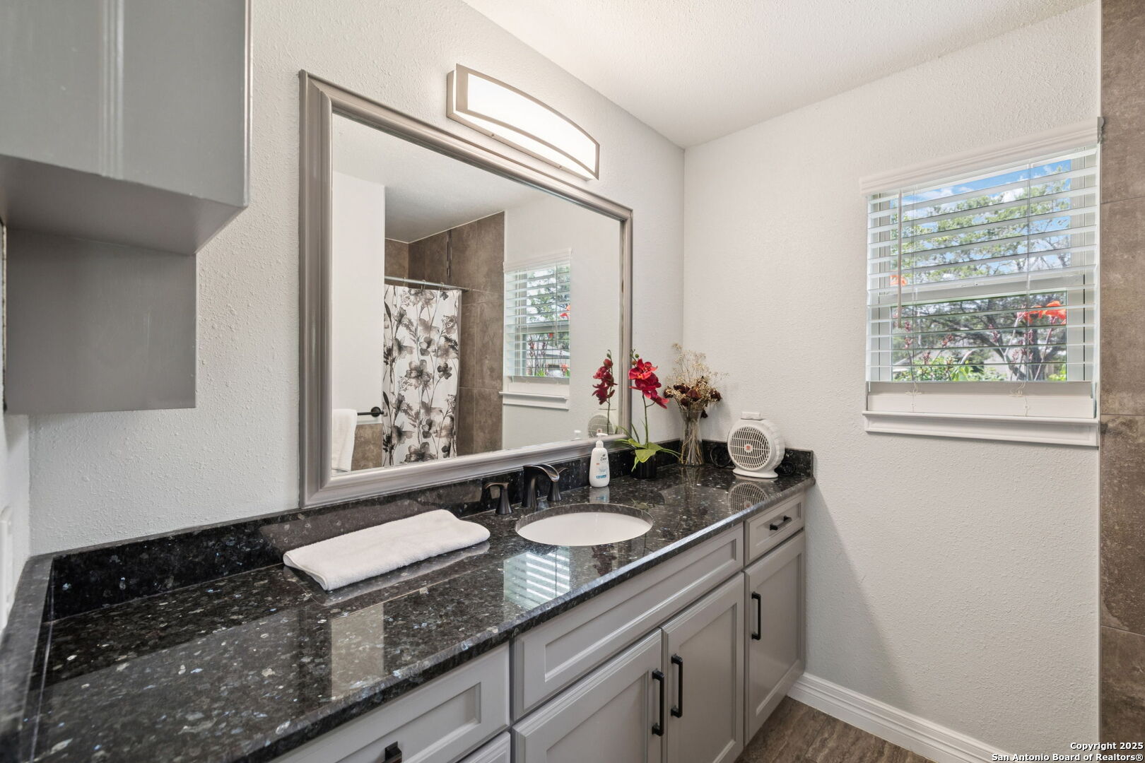 450 Georg Oaks Bulverde, TX 78163 - Photo 22 of 41 a bathroom with a granite countertop sink a mirror and a window