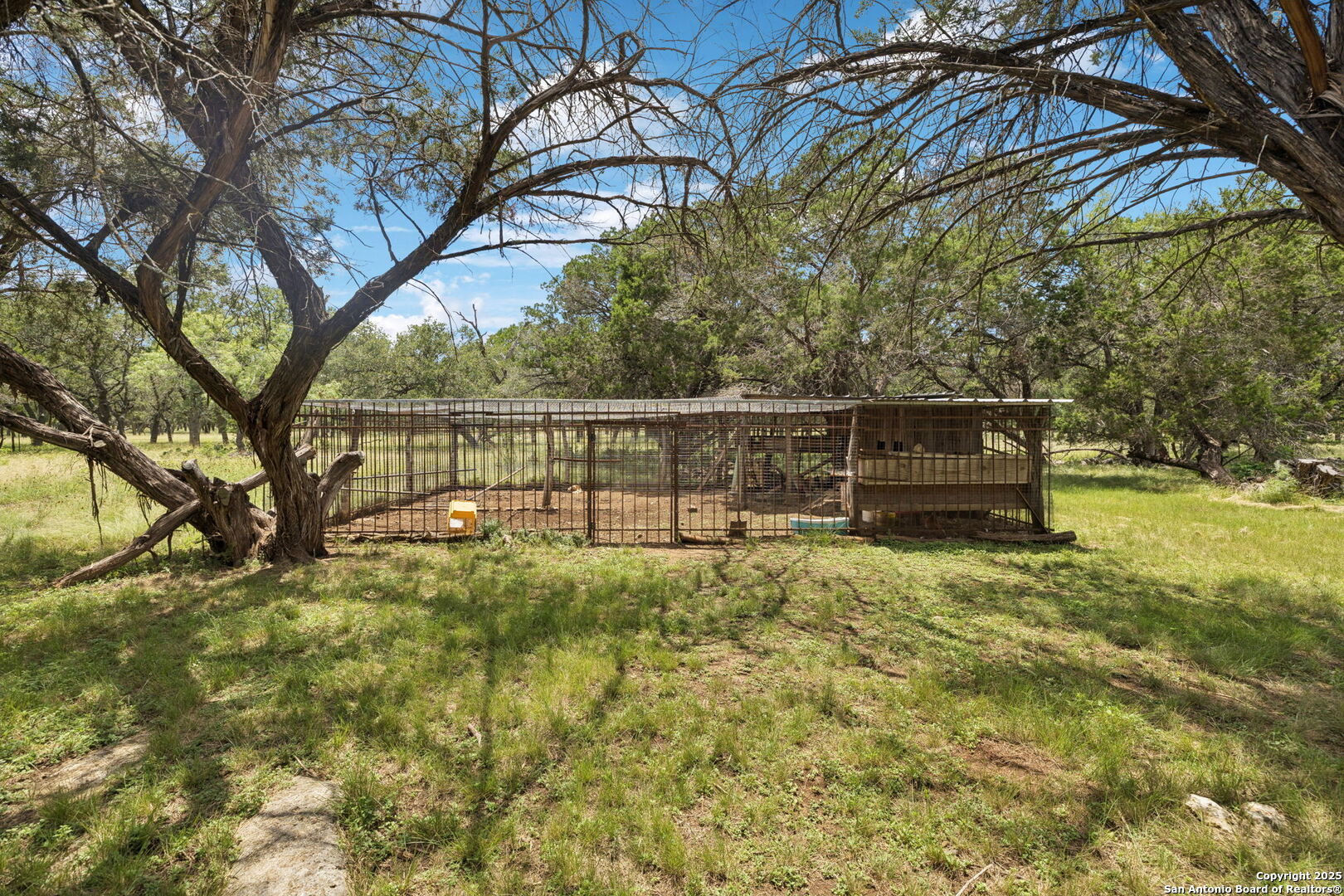 450 Georg Oaks Bulverde, TX 78163 - Photo 31 of 41 a backyard of a house with lots of green space