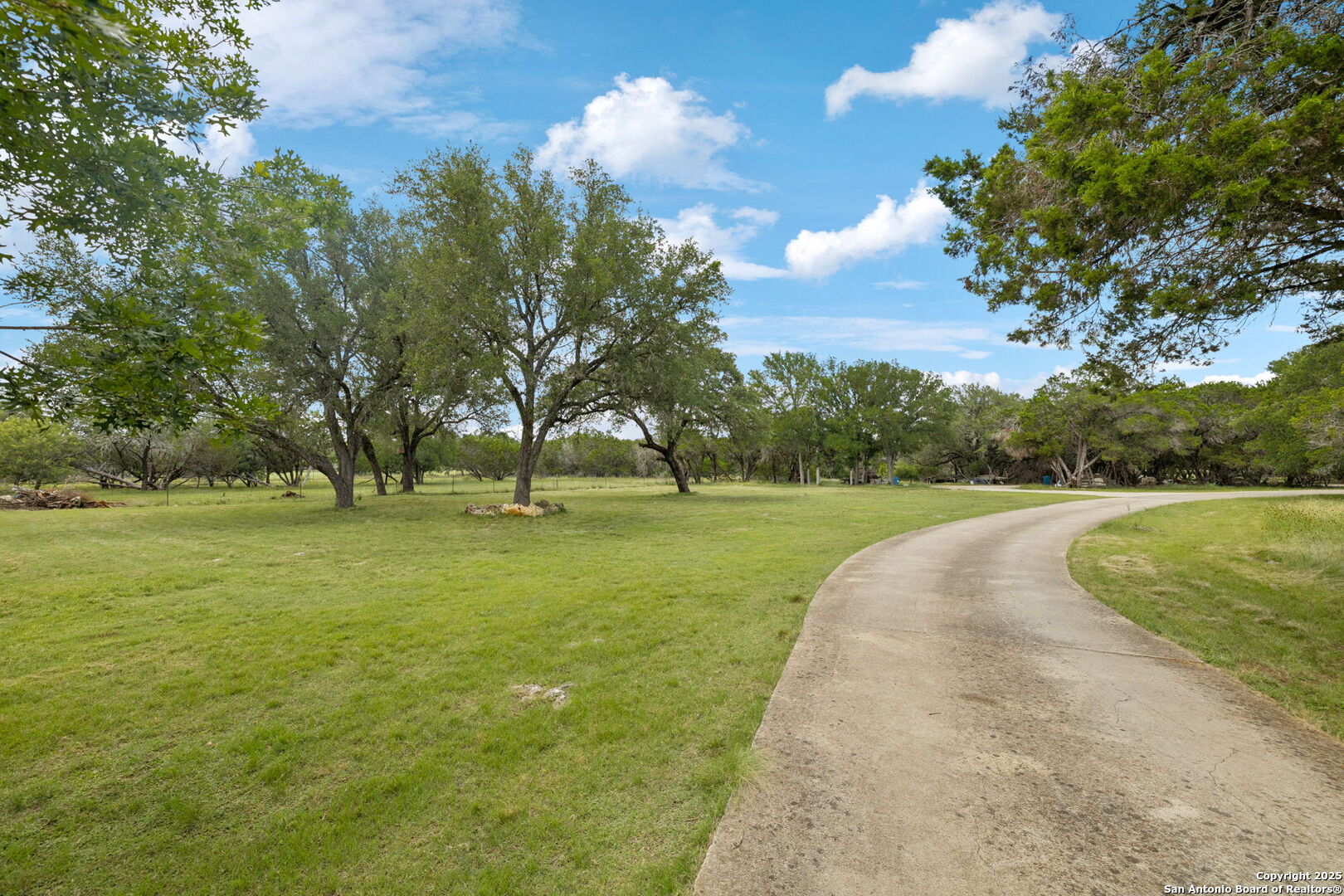 450 Georg Oaks Bulverde, TX 78163 - Photo 5 of 41 a view of a garden