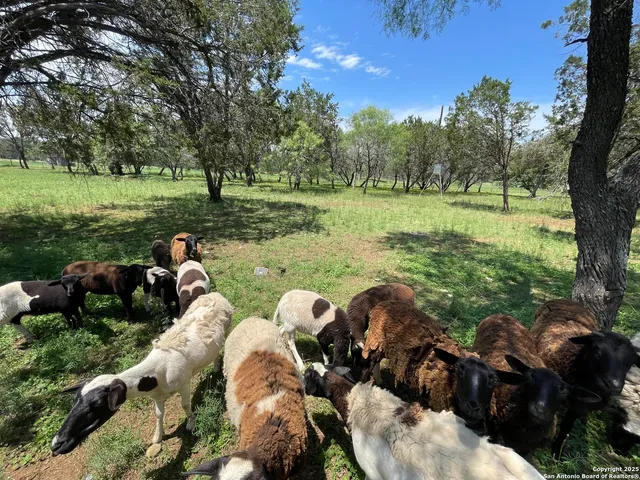 a backyard of a house with lots of green space and outdoor seating
