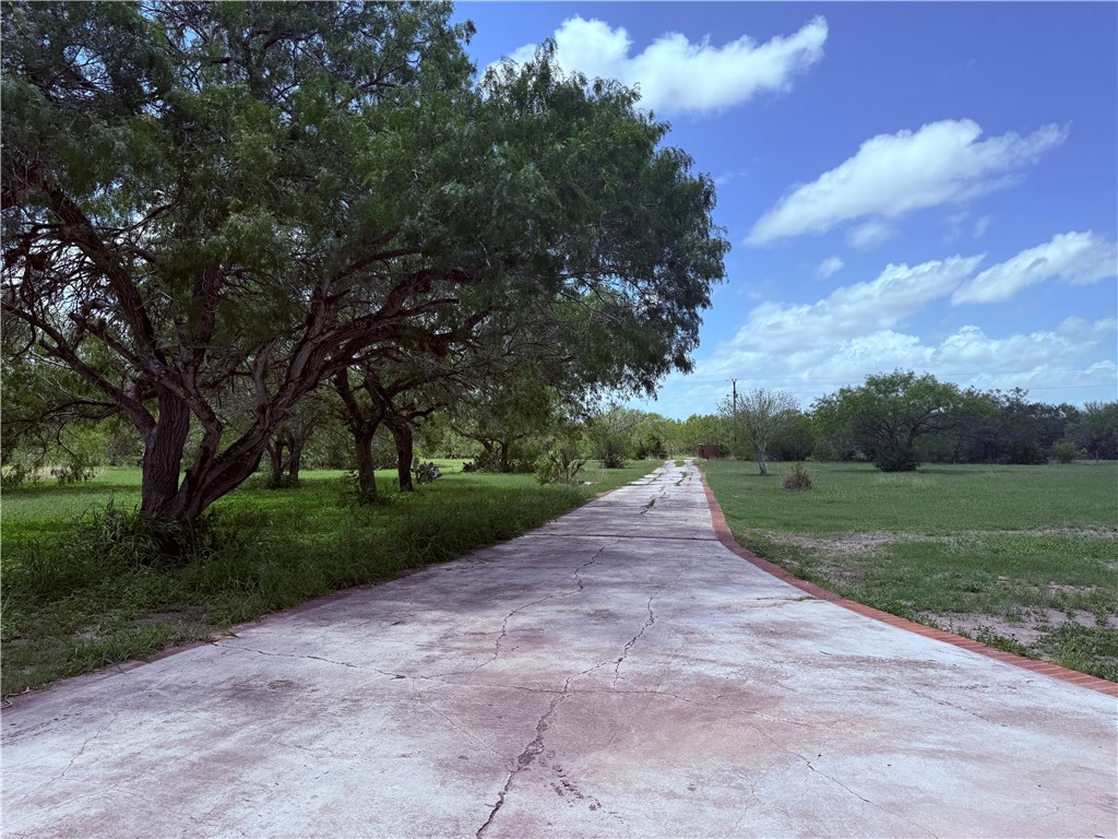 5742 Hidden Valley Loop Sandia, TX 78383 - Photo 9 of 32