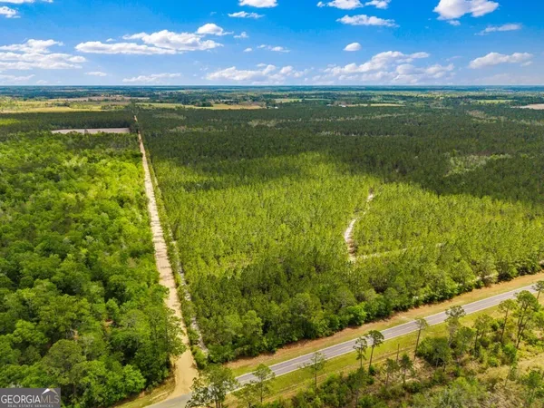 $3,156,975 | 0 Mcmillan Minnie Giddens & Lenox Alapaha Road, Lenox, GA 31637