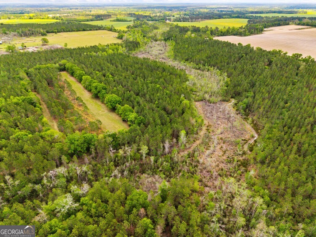 0 Minnie Giddens Road Lenox, GA 31637 - Photo 12 of 49