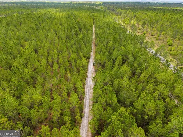 $3,156,975 | 0 Mcmillan Minnie Giddens & Lenox Alapaha Road, Lenox, GA 31637