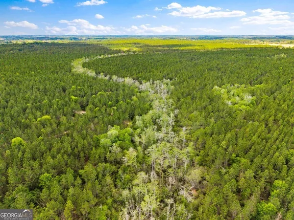 $3,156,975 | 0 Mcmillan Minnie Giddens & Lenox Alapaha Road, Lenox, GA 31637