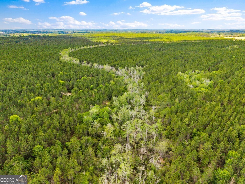 0 Minnie Giddens Road Lenox, GA 31637 - Photo 14 of 49