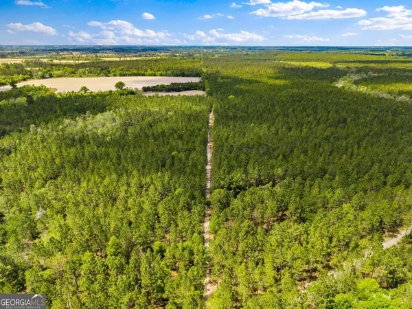 $3,156,975 | 0 Mcmillan Minnie Giddens & Lenox Alapaha Road, Lenox, GA 31637