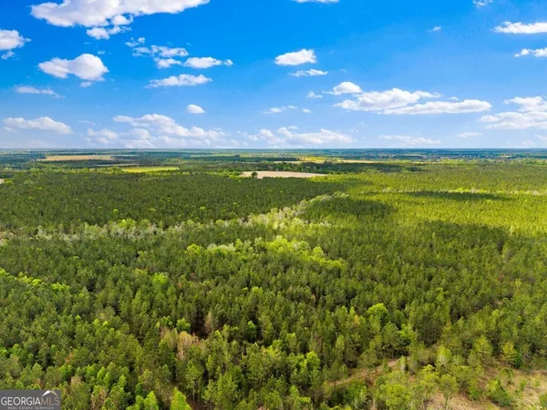 $3,156,975 | 0 Mcmillan Minnie Giddens & Lenox Alapaha Road, Lenox, GA 31637