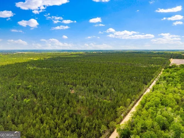 $3,156,975 | 0 Mcmillan Minnie Giddens & Lenox Alapaha Road, Lenox, GA 31637