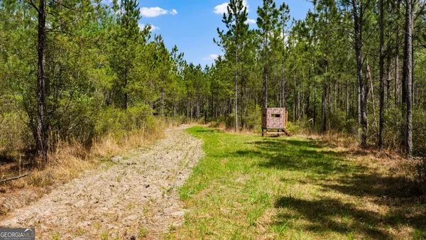 $3,156,975 | 0 Mcmillan Minnie Giddens & Lenox Alapaha Road, Lenox, GA 31637