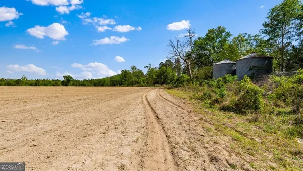 $3,156,975 | 0 Mcmillan Minnie Giddens & Lenox Alapaha Road, Lenox, GA 31637