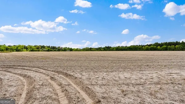 $3,156,975 | 0 Mcmillan Minnie Giddens & Lenox Alapaha Road, Lenox, GA 31637