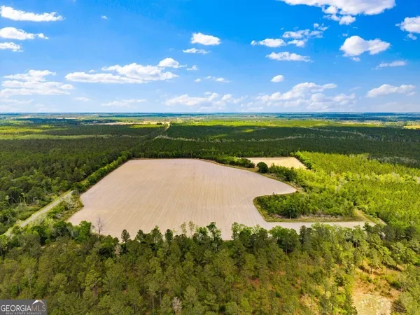 $3,156,975 | 0 Mcmillan Minnie Giddens & Lenox Alapaha Road, Lenox, GA 31637