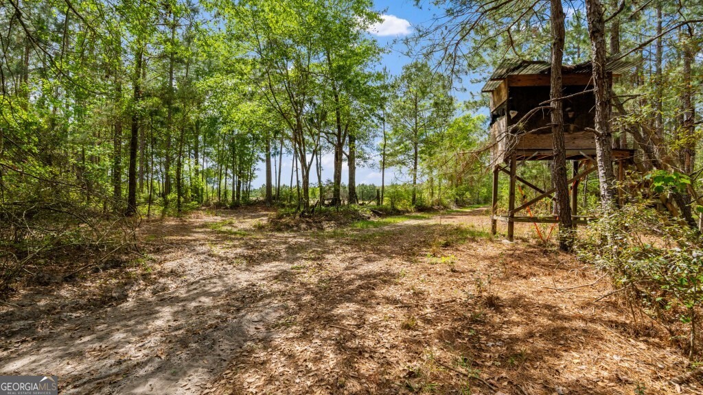 0 Minnie Giddens Road Lenox, GA 31637 - Photo 21 of 49