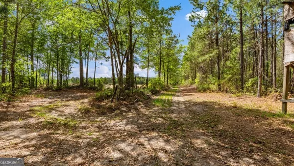 $3,156,975 | 0 Mcmillan Minnie Giddens & Lenox Alapaha Road, Lenox, GA 31637