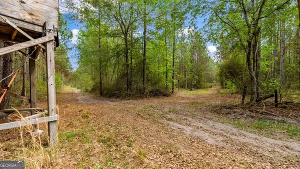 $3,156,975 | 0 Mcmillan Minnie Giddens & Lenox Alapaha Road, Lenox, GA 31637