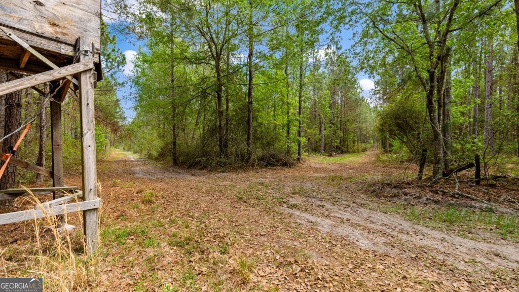 0 Minnie Giddens Road Lenox, GA 31637 - Photo 23 of 49