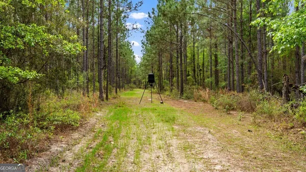 $3,156,975 | 0 Mcmillan Minnie Giddens & Lenox Alapaha Road, Lenox, GA 31637