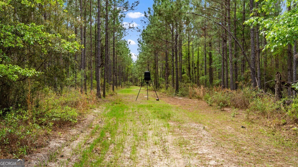 0 Minnie Giddens Road Lenox, GA 31637 - Photo 24 of 49