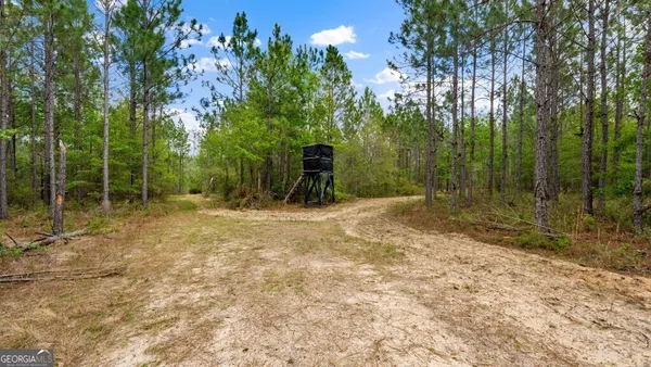 $3,156,975 | 0 Mcmillan Minnie Giddens & Lenox Alapaha Road, Lenox, GA 31637