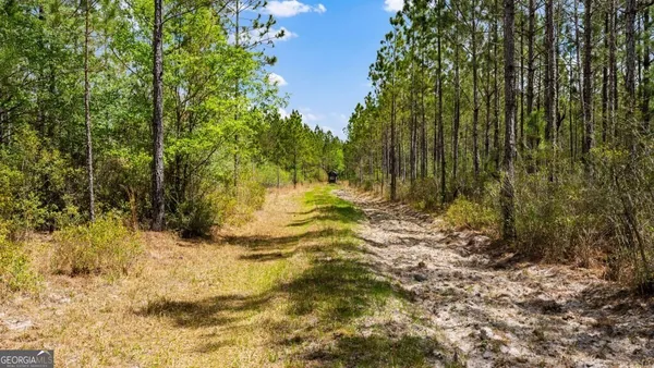 $3,156,975 | 0 Mcmillan Minnie Giddens & Lenox Alapaha Road, Lenox, GA 31637