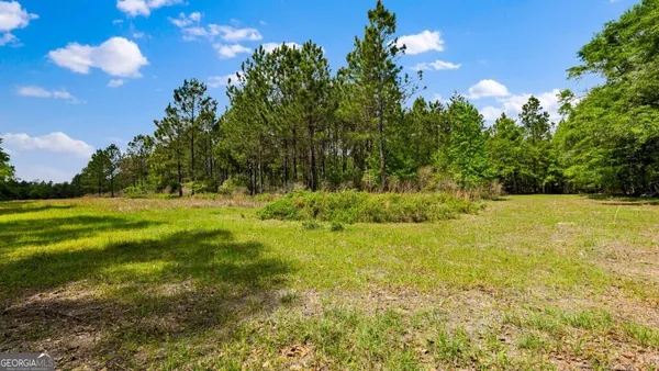 $3,156,975 | 0 Mcmillan Minnie Giddens & Lenox Alapaha Road, Lenox, GA 31637