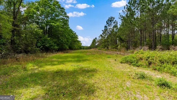 $3,156,975 | 0 Mcmillan Minnie Giddens & Lenox Alapaha Road, Lenox, GA 31637