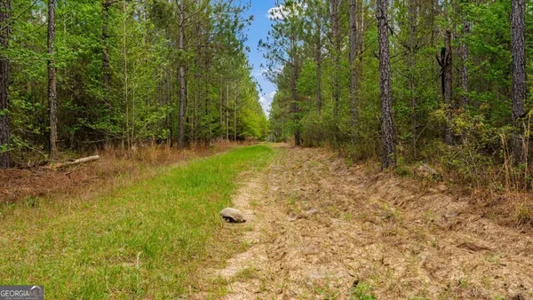 $3,156,975 | 0 Mcmillan Minnie Giddens & Lenox Alapaha Road, Lenox, GA 31637