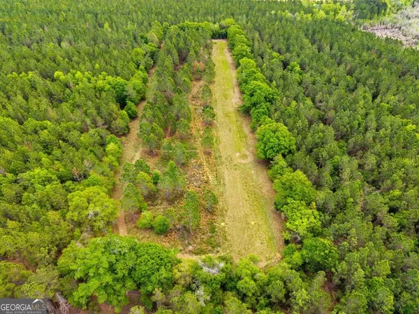 $3,156,975 | 0 Mcmillan Minnie Giddens & Lenox Alapaha Road, Lenox, GA 31637