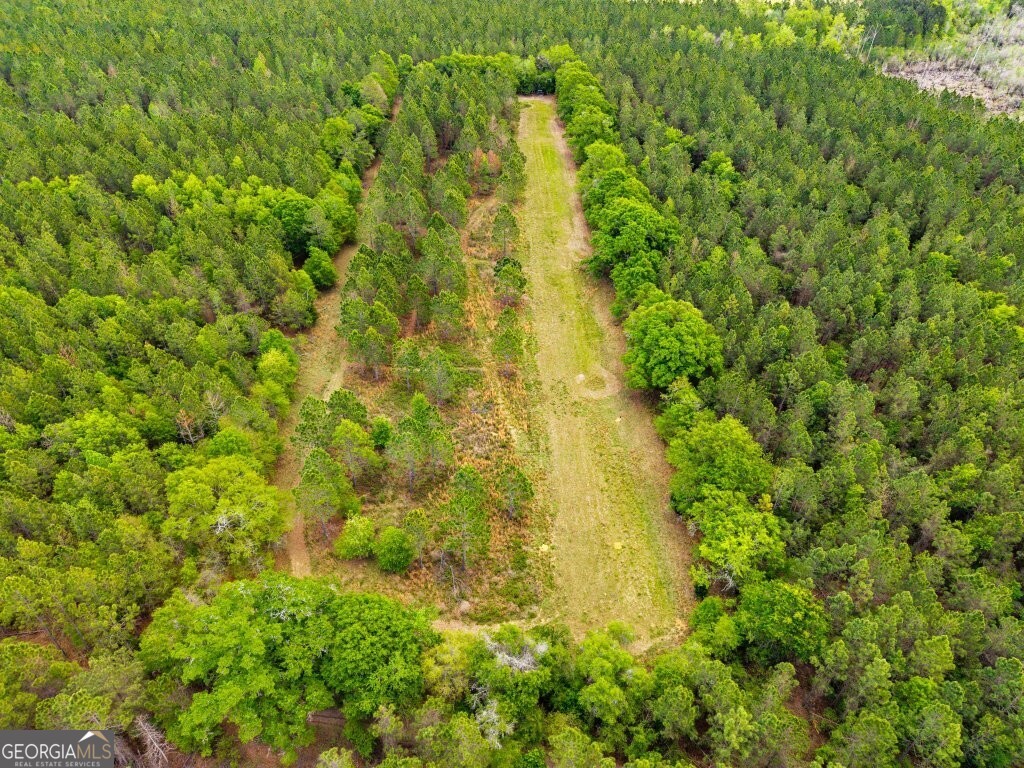 0 Minnie Giddens Road Lenox, GA 31637 - Photo 3 of 49