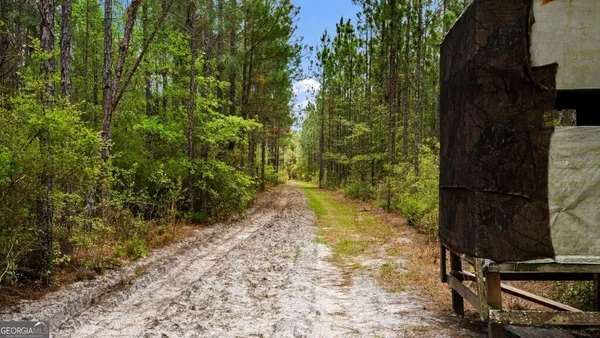 $3,156,975 | 0 Mcmillan Minnie Giddens & Lenox Alapaha Road, Lenox, GA 31637