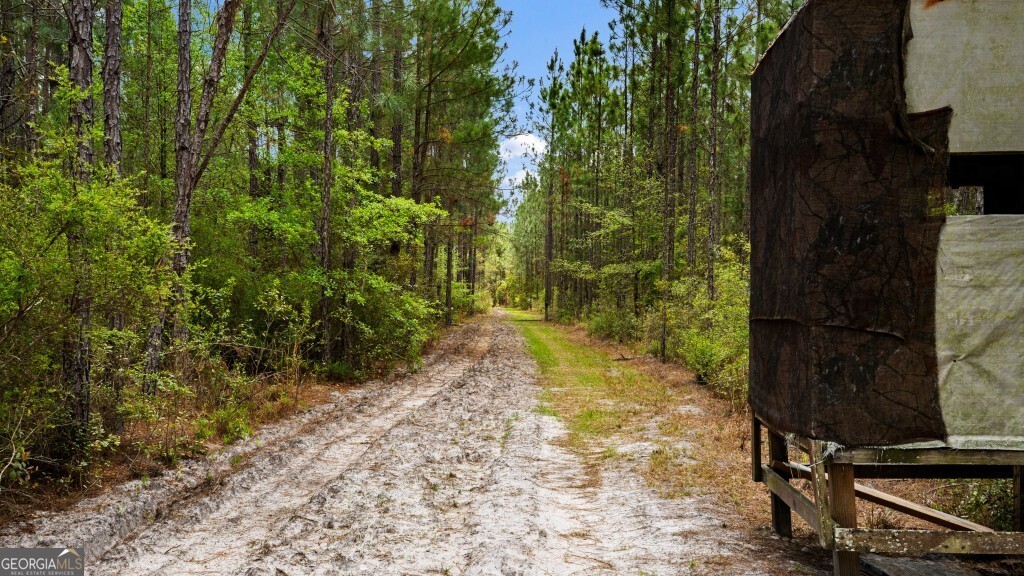 0 Minnie Giddens Road Lenox, GA 31637 - Photo 31 of 49