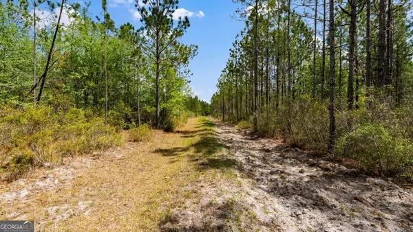 $3,156,975 | 0 Mcmillan Minnie Giddens & Lenox Alapaha Road, Lenox, GA 31637