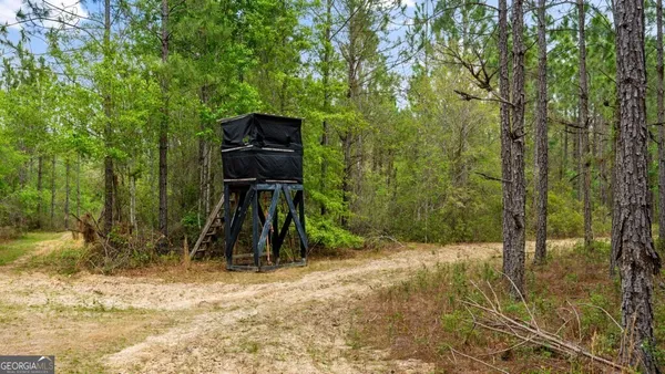 $3,156,975 | 0 Mcmillan Minnie Giddens & Lenox Alapaha Road, Lenox, GA 31637