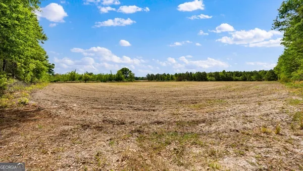 $3,156,975 | 0 Mcmillan Minnie Giddens & Lenox Alapaha Road, Lenox, GA 31637