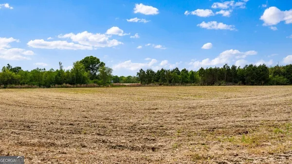 $3,156,975 | 0 Mcmillan Minnie Giddens & Lenox Alapaha Road, Lenox, GA 31637