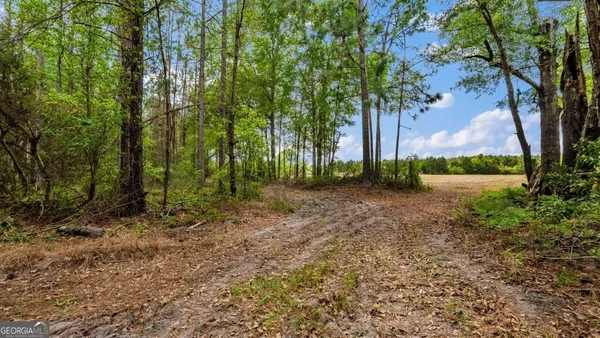 $3,156,975 | 0 Mcmillan Minnie Giddens & Lenox Alapaha Road, Lenox, GA 31637