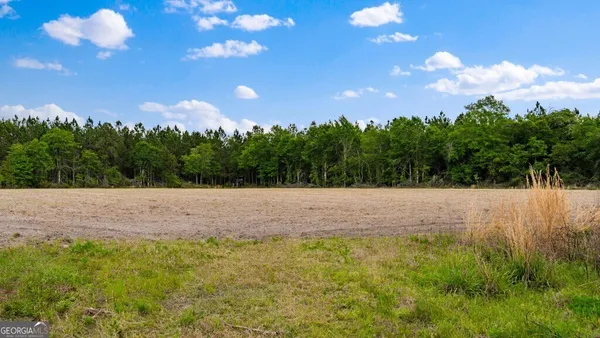 $3,156,975 | 0 Mcmillan Minnie Giddens & Lenox Alapaha Road, Lenox, GA 31637