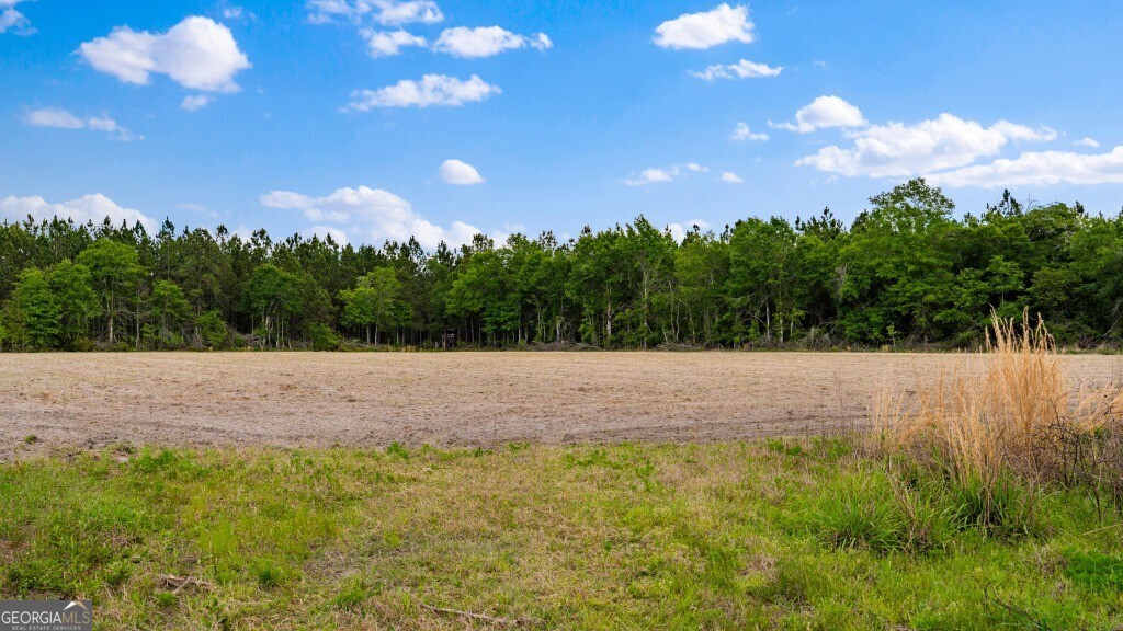 0 Minnie Giddens Road Lenox, GA 31637 - Photo 37 of 49