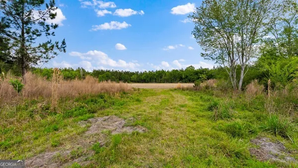 $3,156,975 | 0 Mcmillan Minnie Giddens & Lenox Alapaha Road, Lenox, GA 31637