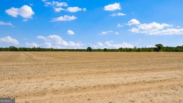 $3,156,975 | 0 Mcmillan Minnie Giddens & Lenox Alapaha Road, Lenox, GA 31637