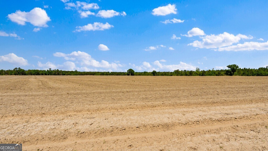 0 Minnie Giddens Road Lenox, GA 31637 - Photo 39 of 49
